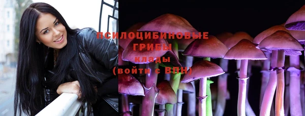стаф Алексин