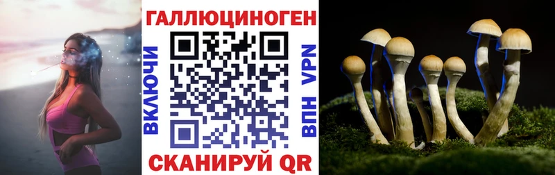 Галлюциногенные грибы Psilocybe  Боготол 